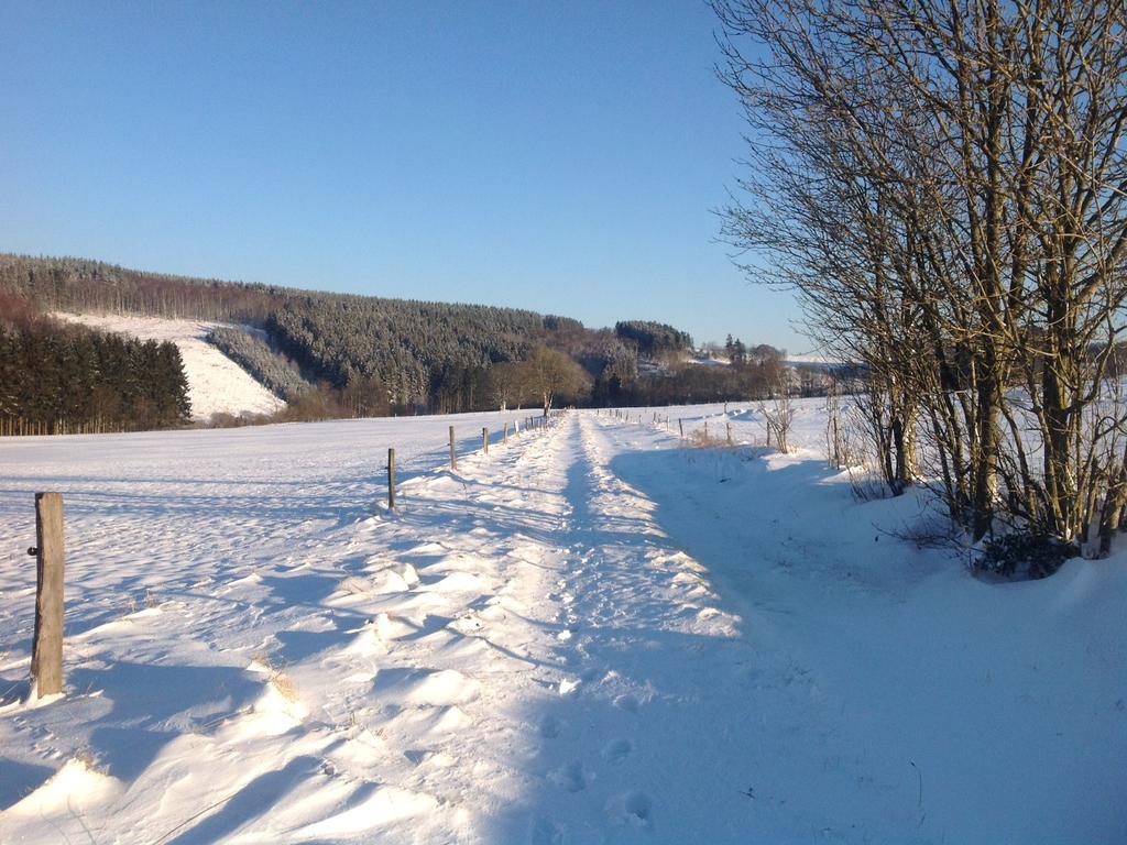 Cozy Holiday Home In Odeigne With Sauna Esterno foto