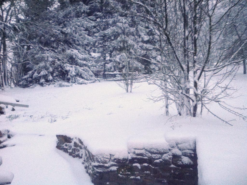 Cozy Holiday Home In Odeigne With Sauna Esterno foto